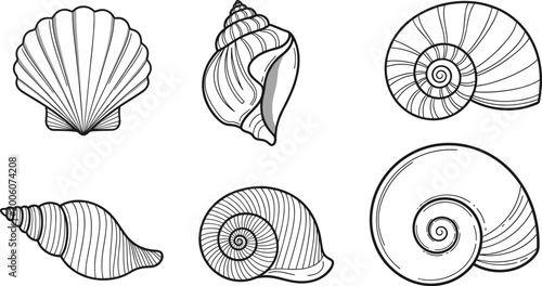 Foto Hand-Drawn Black and White Sketch Collection of Six Different Ocean Seashells Is