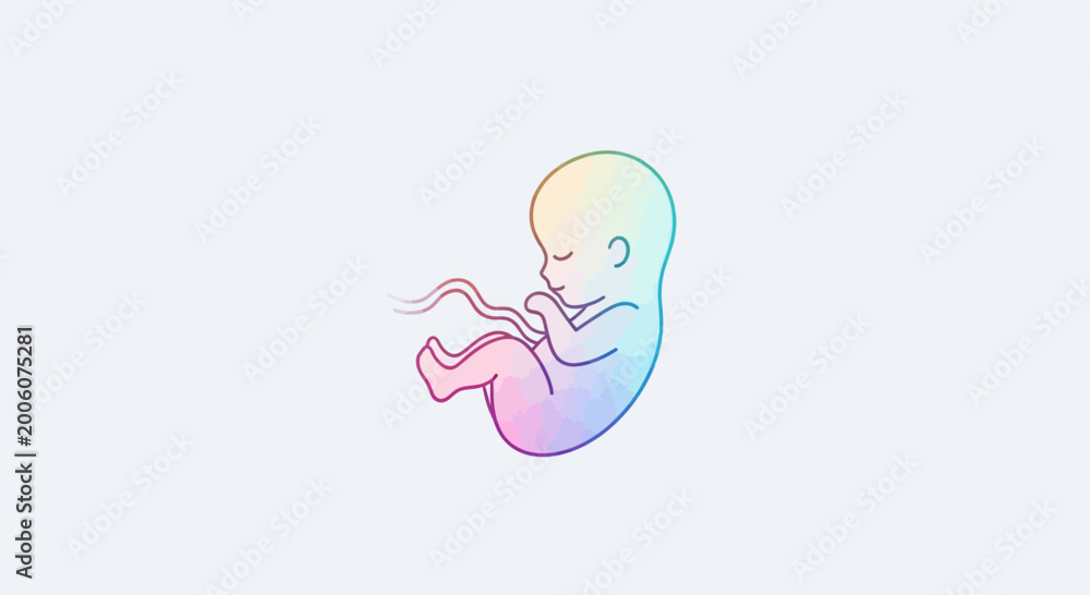 Fototapeta premium Colorful Fetus in Womb, Early Development, Human Embryo, Life Concept