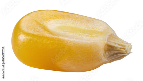 Schilderij op canvas Single yellow corn kernel with detailed texture, isolated on transparent backgro