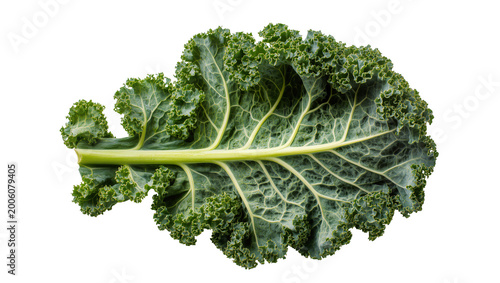 Fotografie Green curly kale leaf with prominent veins, isolated on transparent background