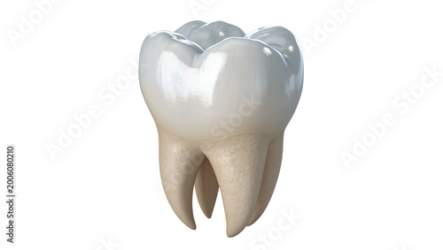 Foto Healthy human molar tooth with shiny enamel and roots, isolated on transparent b