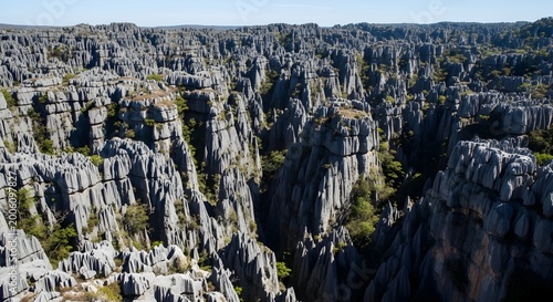 Tsingy de Bemaraha National Park Limestone Pinnacles.