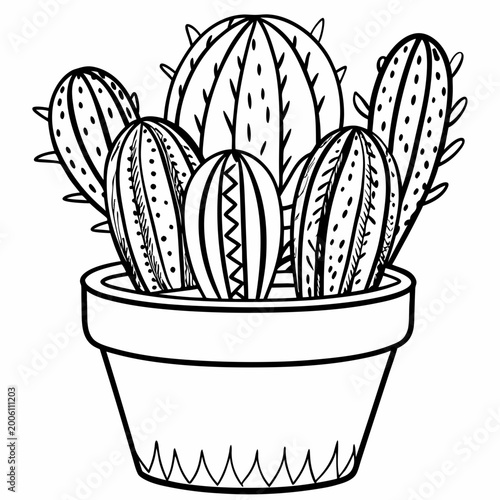 Cactus plants in a simple pot illustration