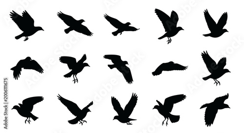 Photos Collection of black bird silhouettes in various flight poses silhouette