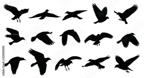 Schilderij op canvas Collection of bird silhouettes in various flying poses silhouette
