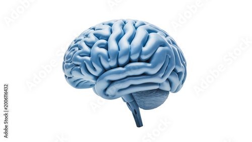 Foto Detailed blue human brain model, isolated on transparent background