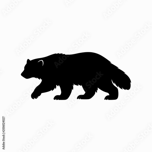 Black bear silhouette walking in nature