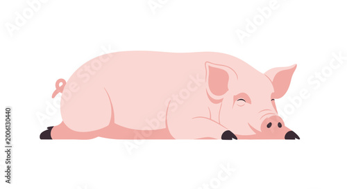 Obraz na płótnie Cute Pink Pig Sleeping Peacefully on White Background, Farm Animal