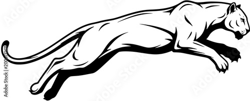Photography Dynamic black and white vector illustration of a powerful wild cat, a leaping cougar or panther, ideal for sports mascots, logos, or wilderness designs