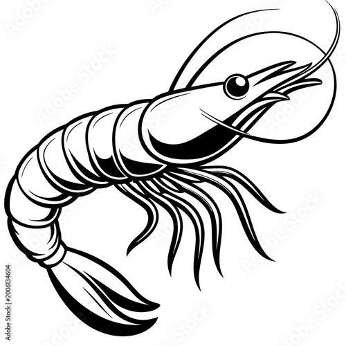 Black and white line drawing of a shrimp
