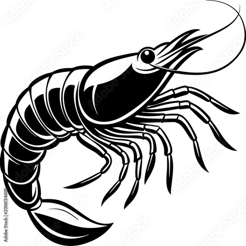 Black and white shrimp illustration vector