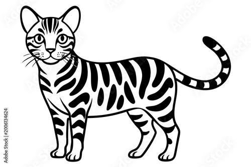 Black and white striped tabby cat standing