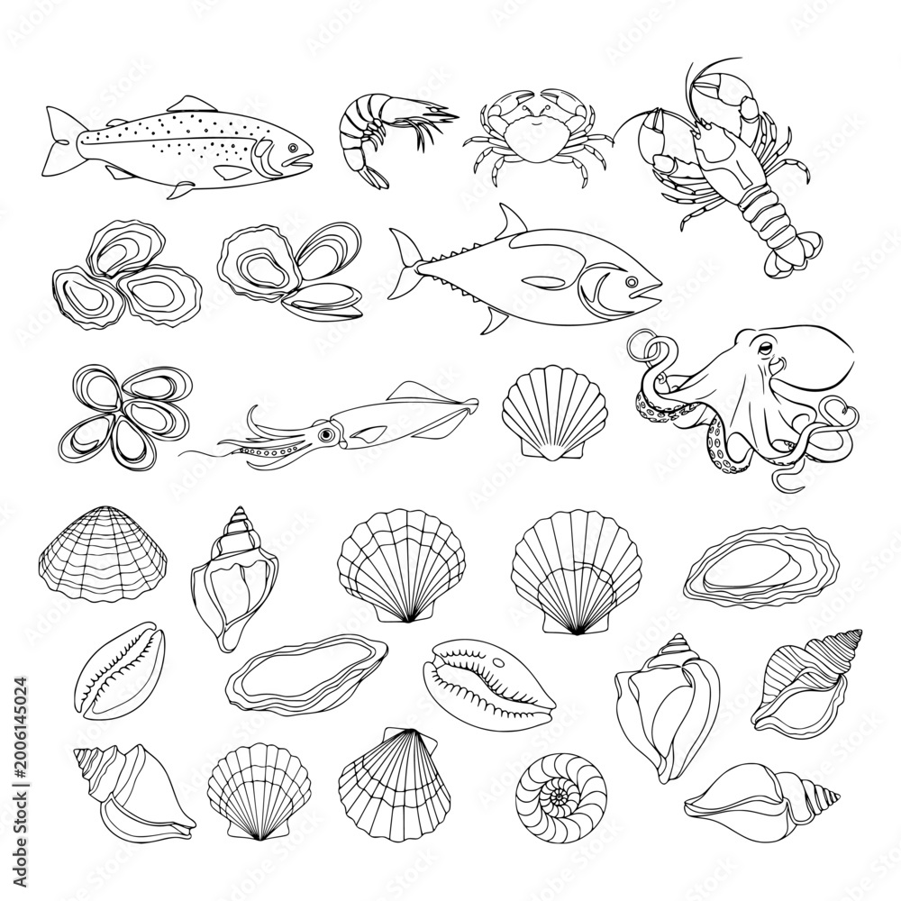 Obraz premium Assorted seafood and seashells drawn in clean line art on a white background, representing ocean nature and marine life concept