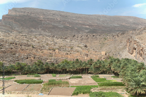 Photos Terraced fields, palm trees, and traditional stone houses built into the mountainside in Misfat Al Abriyeen, Oman, captured with natural colors in a rugged desert landscape