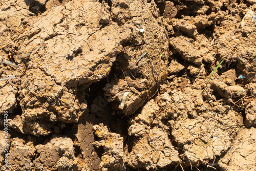 Vászonkép Dry, cracked soil texture is often found in clay-rich soils