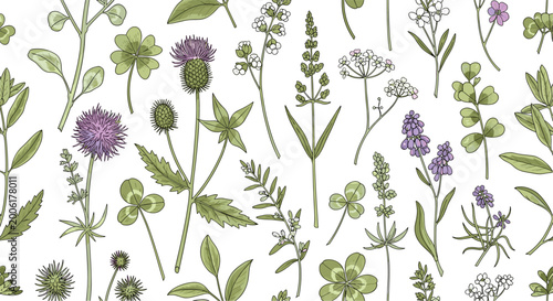 Seamless pattern of assorted wild meadow flowers weeds and clovers in a detailed vintage botanical illustration style for floral design.