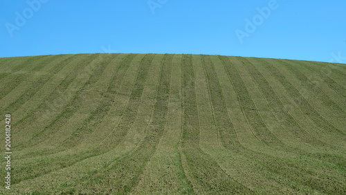 Spring landscape of a field in the Monte San Vito countryside in the Marche region of Italy