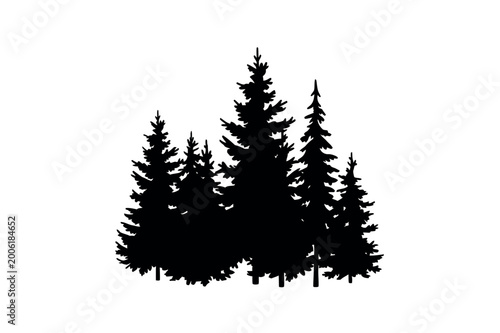Fotografie Natural Pine Tree Cluster Outdoor Graphic