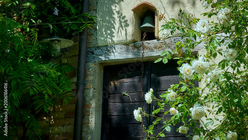 A glimpse of a garden in the Marche region of Italy