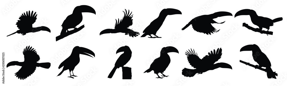 Fototapeta premium Set of animal bird toucan silhouettes set
