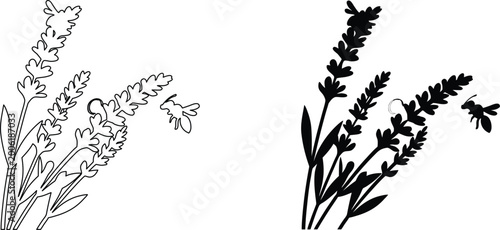 Black silhouette and outline drawing lavender flower with bee on transparent background.