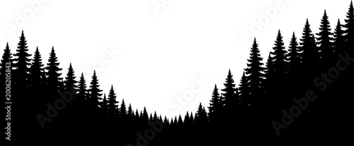 Coniferous forest silhouette forming a natural valley horizon