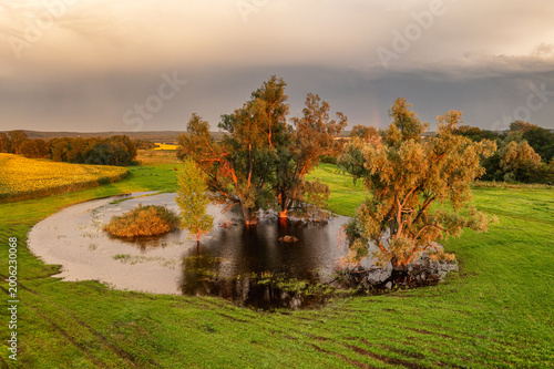 Southern Urals in summer: a group of poplars by a small lake in thundery lighting.