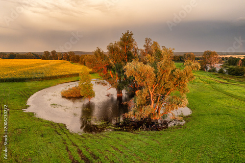 Southern Urals in summer: a group of poplars by a small lake in thundery lighting.