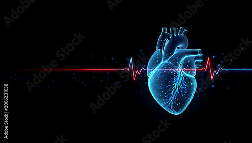 A luminous, anatomical heart model glows with red light, A detailed anatomical illustration of a human heart, highlighted with vibrant red and blue neon hues,