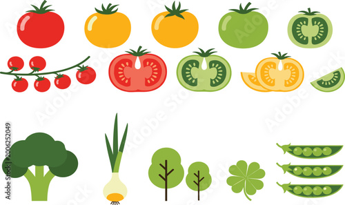 Photos Flat Style Colorful Tomato Varieties And Fresh Vegetables Vector Set With Brocco