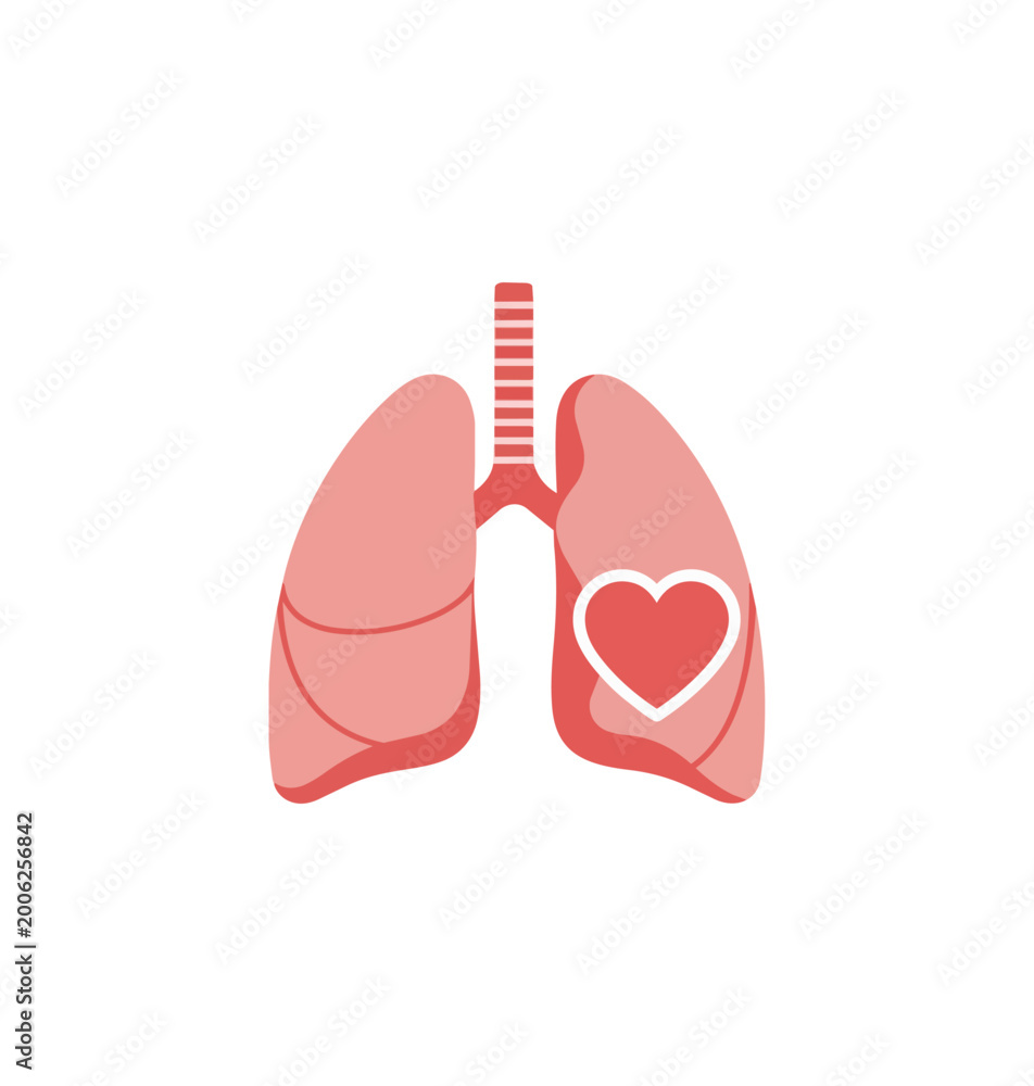 Fototapeta premium Medical illustration of human lungs and heart on black background