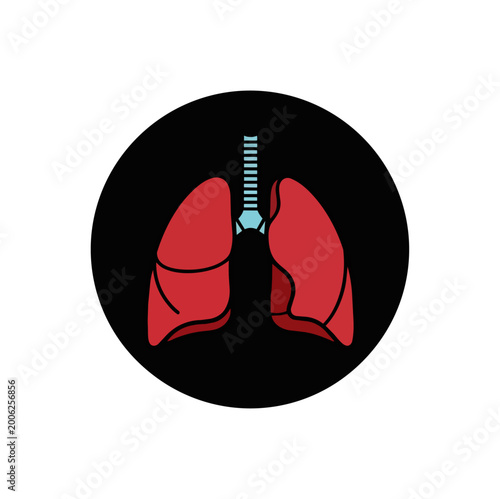 Medical illustration of human lungs and airway on black background