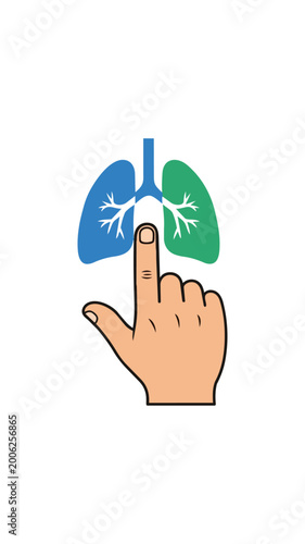 Medical illustration of human lungs and hand pointing