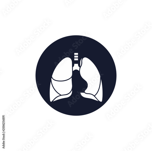 Medical illustration of human lungs on dark background