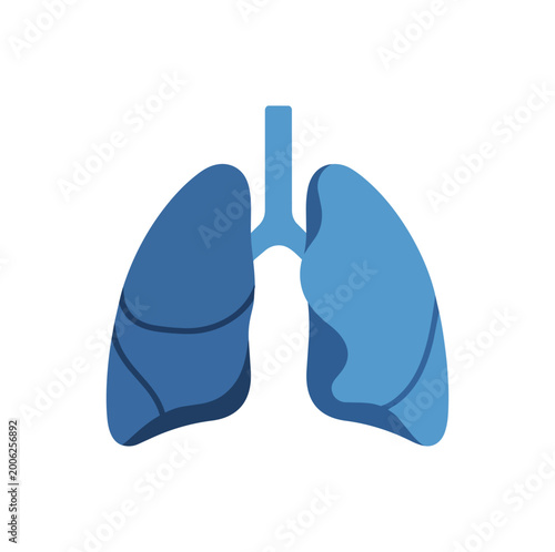 Medical illustration of human lungs on black background