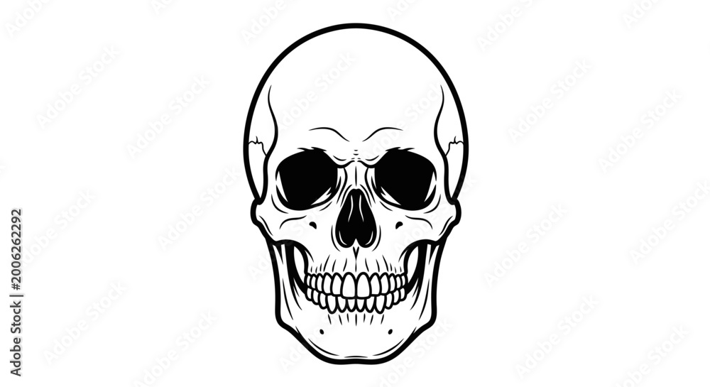 Obraz premium Detailed black and white illustration of a human skull, front view. Anatomy, gothic, vintage, spooky design element.