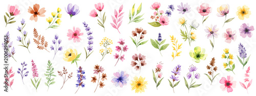 Fotografie 水彩風の春の小花と草花セット素材イラスト｜ナチュラルなボタニカル花コレクション ピンク/イエロー