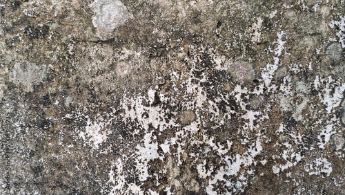 Schilderij op canvas Old dirty wall texture with stains and rough surface, ideal for grunge background, abstract texture, and urban decay concepts