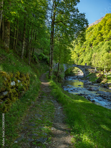 Old bridge on a creek in Lake Como alps