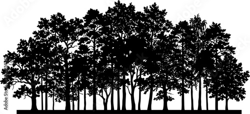 Woodland treeline forest marks the distant horizon