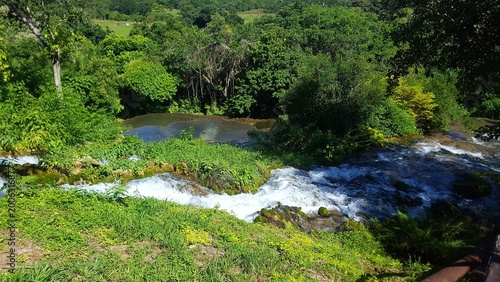 Tableau sur toile Cours d’eau près de Bonito au Brésil entouré de nature tropicale luxuriante