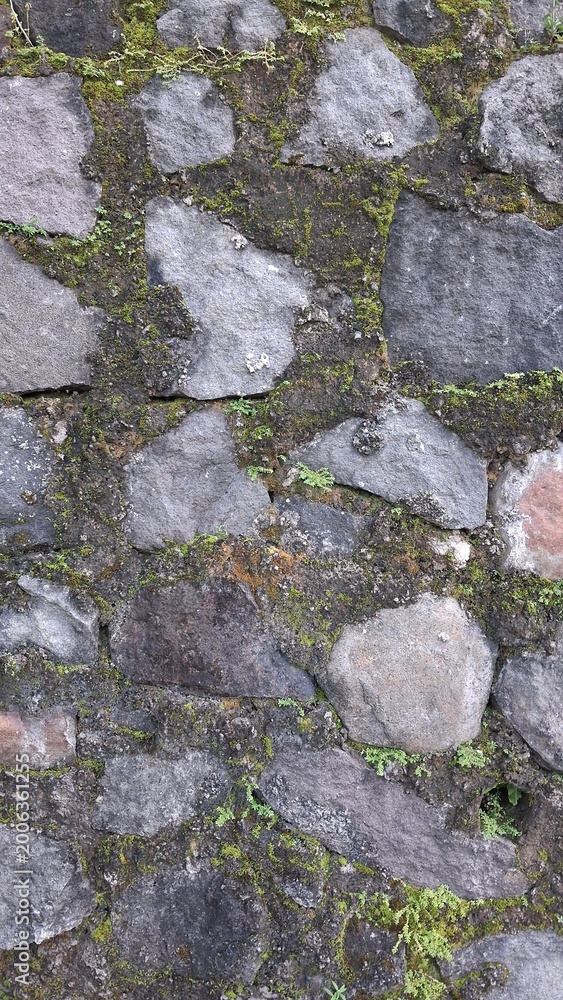 Fototapeta premium Natural Stone Pavement Texture with Moss Background