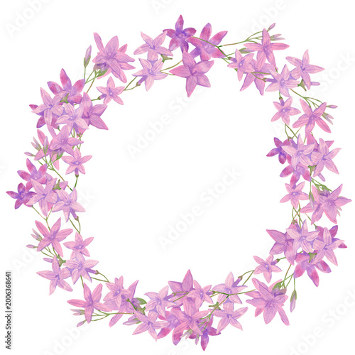 Delicate watercolor wreath with lilac pink campanula flowers, thin stems and small buds on white background. Hand painted romantic floral frame for wedding invitations