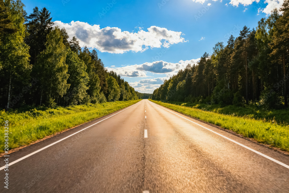 Fototapeta premium A straight two-lane asphalt highway cuts through a lush temperate forest under a bright sunny blue sky with fluffy white clouds.