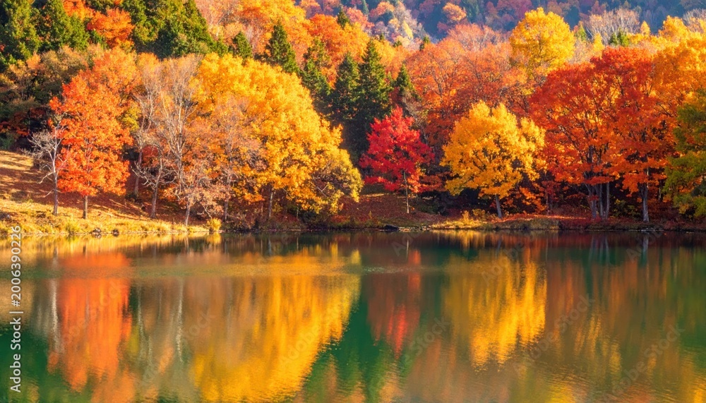 Obraz premium Colorful autumn trees reflecting in calm lake water