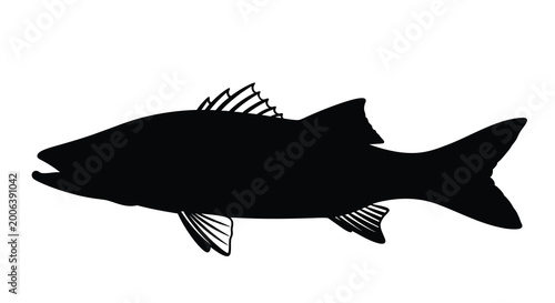 Quadro su tela Black sea bass fish silhouette on a white background