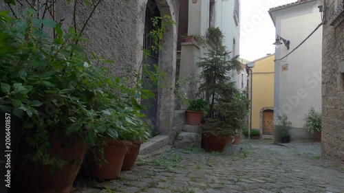 Historic center of the small village of Castel San Vincenzo with ancient stone houses, Molise, Italy