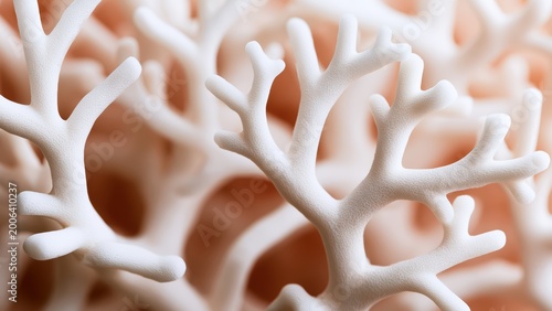 Delicate white coral branches with intricate textures stand out against a soft, warm, natural background