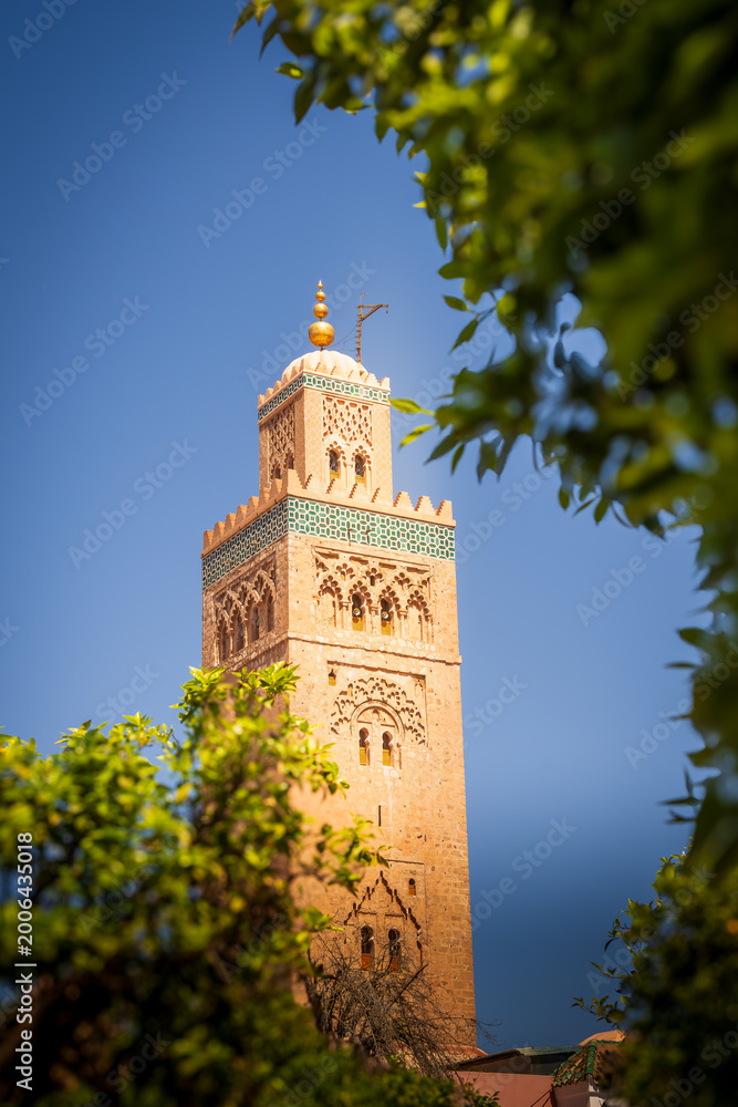 Fototapeta premium Minaret through the leaves
