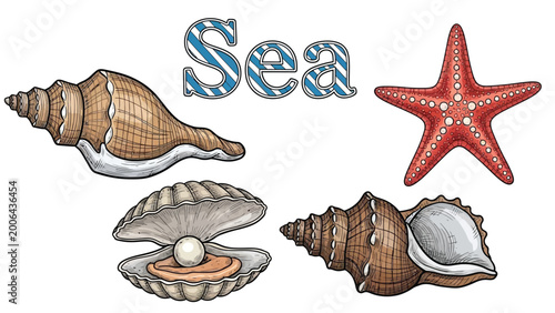 Collection of marine life icons including seashell, oyster with pearl, conch shell and starfish with word sea, isolated on white.